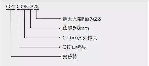 百乐博(中国)官方网站